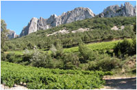 Dentelles of Montmirail